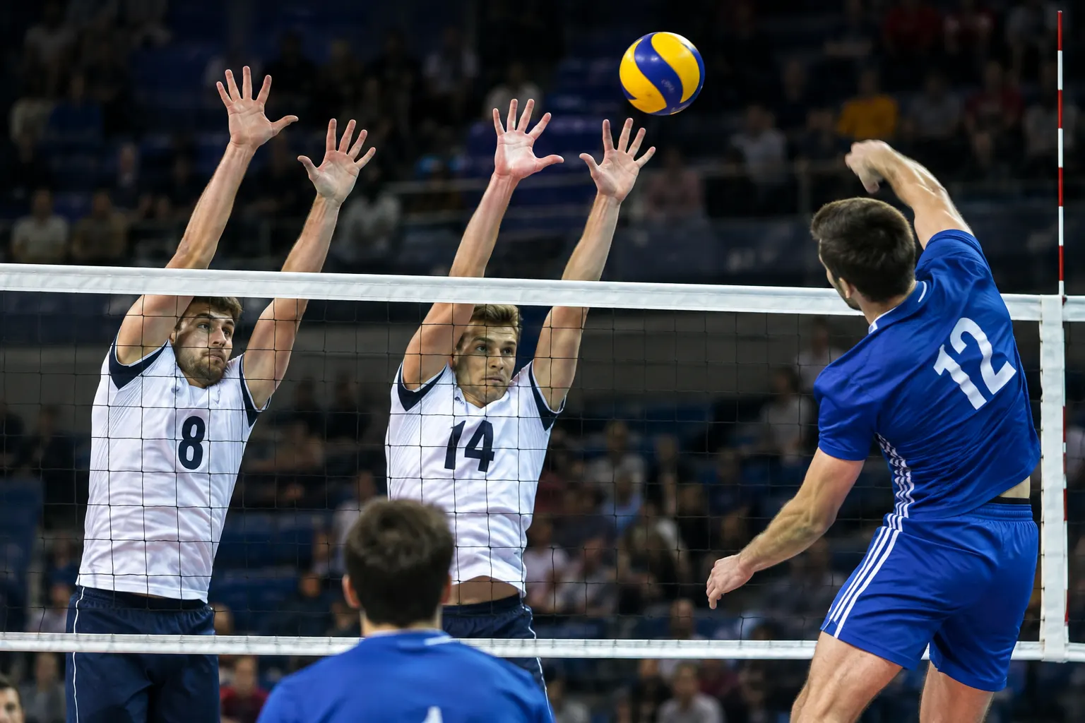 Україна поступилася Польщі на Євро-2026 з волейболу